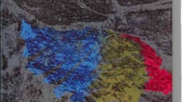 criza si dupa criza schimbarea lumii un nou volum semnat andrei marga