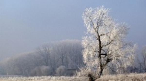 cum va fi vremea in urmatoarele zile vezi prognoza