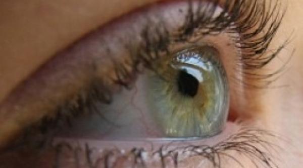 emotii care ne pot vindeca educarea unei minti atente