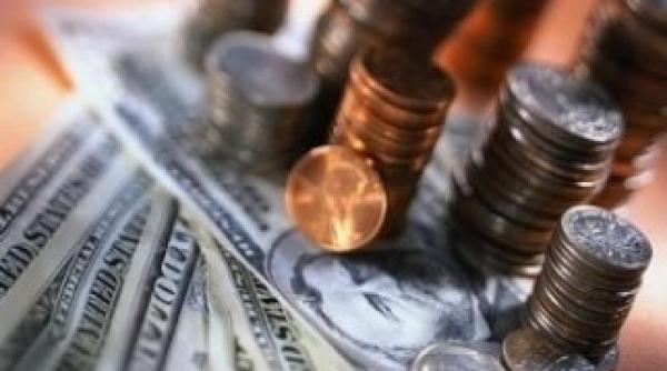 terenuri bijuterii si datorii vezi declaratiile de avere ale candidatilor la parlamentare