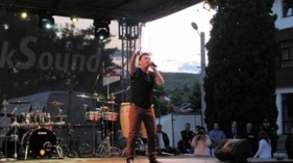 campania electorala teren fertil pentru artisti care sunt tarifele