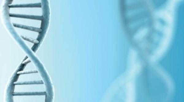 arih2 gena care poate controla virusul hiv