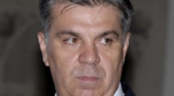 luptatorii pdl actioneaza in cazul stan precum mister pussycat afirma zgonea