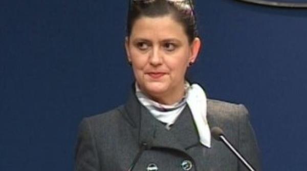 anca boagiu sesizare penala la dna din partea guvernului