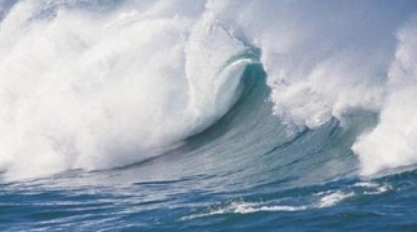 un tsunami de un metru atinge coasta japoniei in urma cutremurului de 73 grade