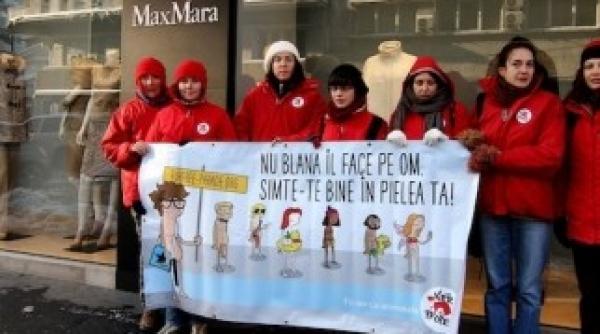 vier pfonten parada impotriva magazinelor de blanuri din capitala