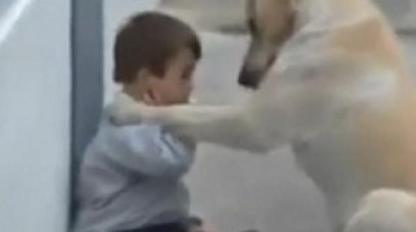 cel mai emotionant clip al anului video