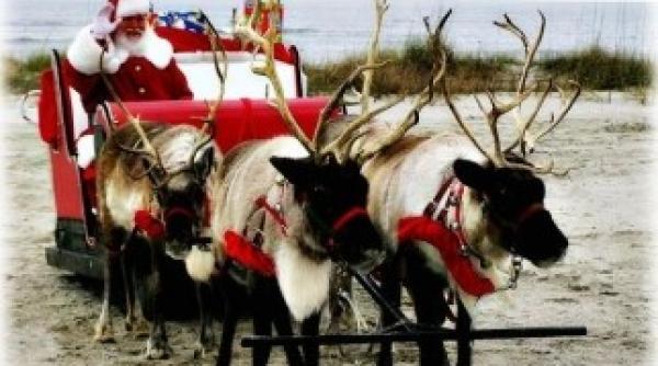 mos craciun legenda samanilor despre ciupercile halucinogene