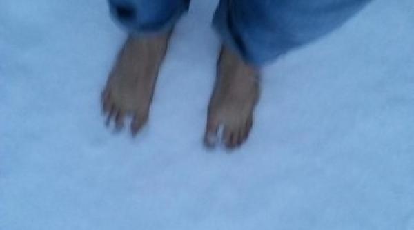 sebastian lazaroiu descult in zapada de anul nou