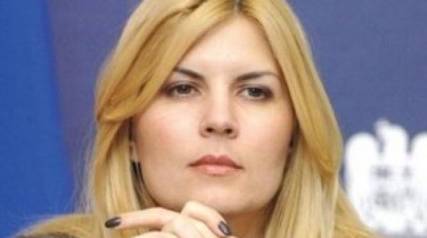 udrea sustine ca pdl va creste in sondaje in 2013