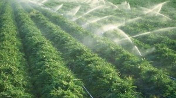 fiul ploii bugetul lui ponta pe 2013 depinde de conditiile meteo