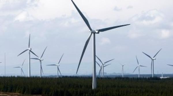 economia verde spala bani vezi ce a dezvaluit o operatiune sub acoperire