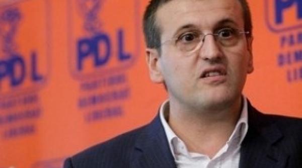 preda cere alegeri in pdl pentru stabilirea prezidentiabilului