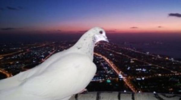 sa nu te ia ameteala cum se vede lumea din varful celei mai inalte cladiri din lume foto