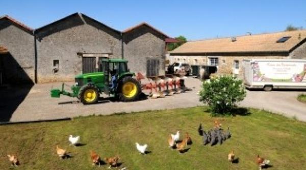 statul a luat initiativa de a ajuta fermele familiale