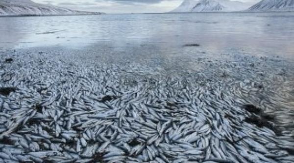 imagini unde viata a incetat sa mai existe