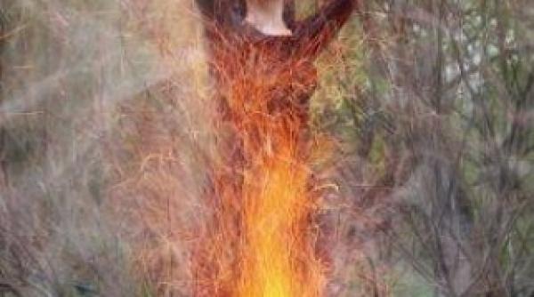 arsa pe rug pentru ca a fost banuita de vrajitorie in secolul xxi