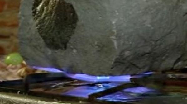 ciorba de bolovan servita la timisoara vezi cat costa o portie