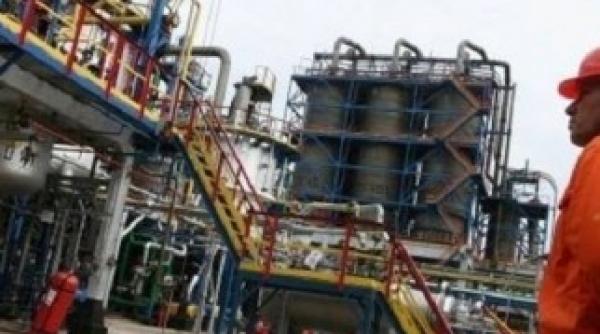 guvernul negociaza cu kazmunaygas vanzarea actiunilor rompetrol kazahii anunta investitii de 700 milioane dolari