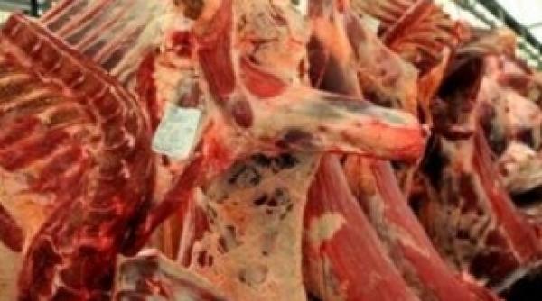 constantin nu sunt indicii ca etichetarea carnii de cal s a produs in romania