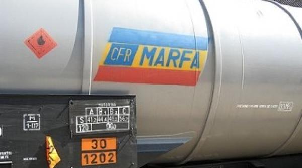 dilema companiei de stat cum poate cfr marfa sa fie profitabila si falimentara in acelasi timp