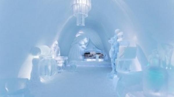 un orasel cu mai multi caini decat locuitori are 50 000 de turisti