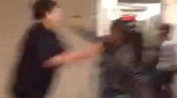 bataia vazuta de peste 50 000 de ori in cateva ore video