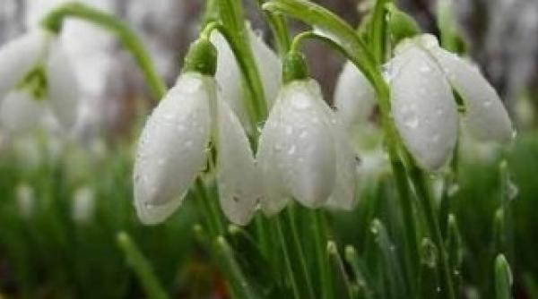 vine primavara prognoza meteo pentru perioada 18 februarie 4 martie