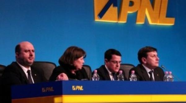 reportaj steaua ajax pe holurile parlamentului la congresul pnl