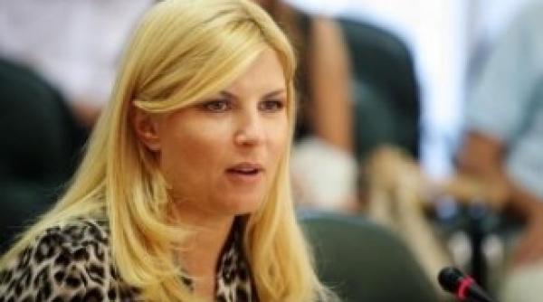 udrea motiunea monicai macovei va aduce un plus dezbaterii interne in pdl