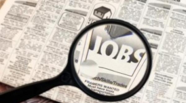 unde te poti angaja saptamana aceasta