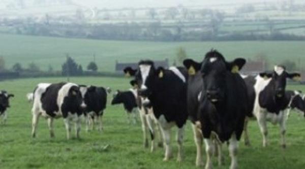 ce imputa romaniei 125 milioane de euro din cheltuielile facute in cadrul pac