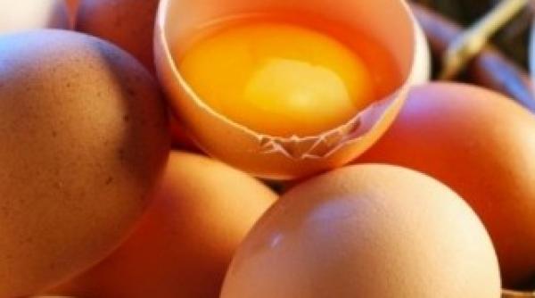 nou scandal alimentar suspiciuni de frauda cu oua bio