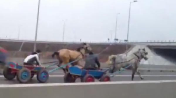 romania pitoreasca cursa de carute pe autostrada soarelui video