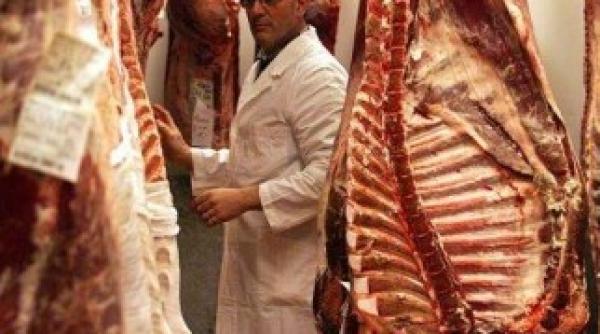 bancul zilei bula si carnea de cal