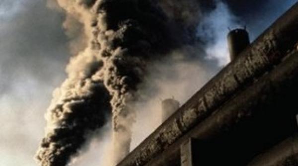 poluarea afecteaza dimensiunile penisului sustin cercetatorii