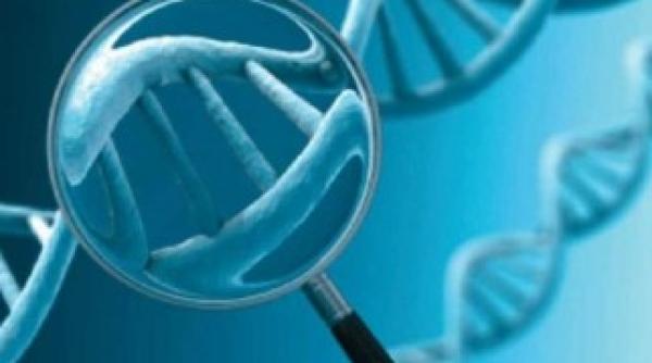 cinci tulburari psihiatrice majore impartasesc o problema comuna in mai multe gene