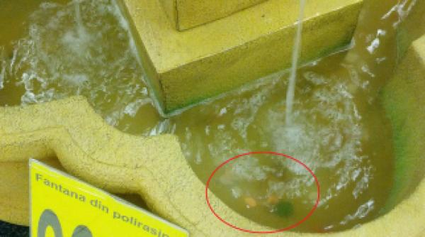 fabulos un obicei bizar practicat in carrefour orhideea