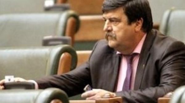 basescu acuzat ca genereaza discordie la modificarea constitutiei