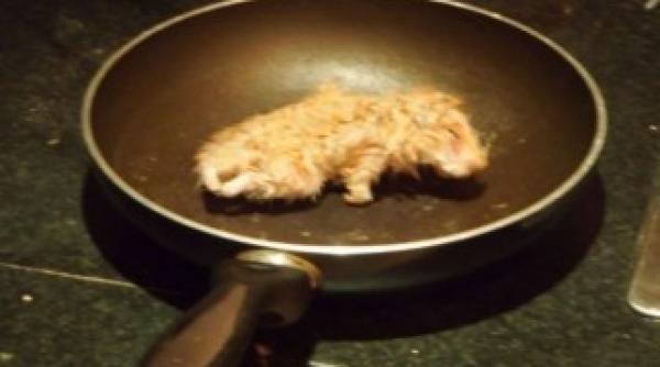 politistii socati de ce au gasit in tigaia unui student mirosea intepator