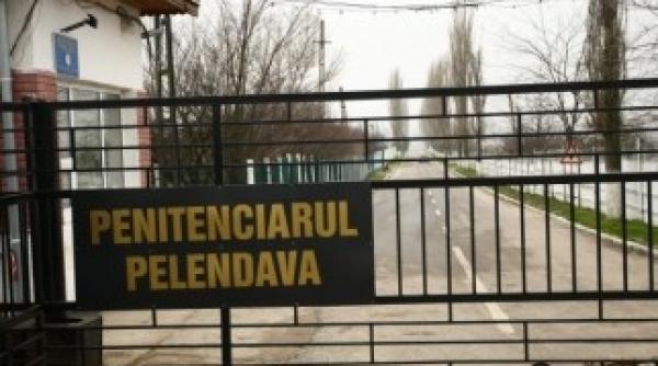 puscaria craiova a fost calcata de hoti vezi ce au cautat