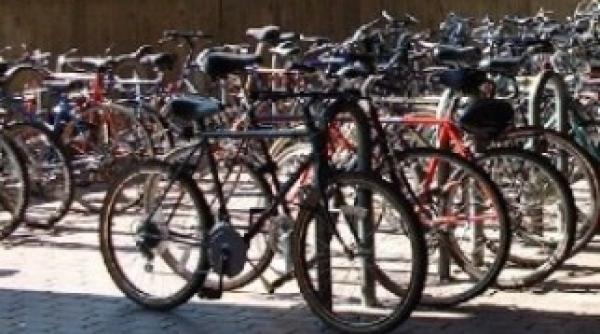 in sfantu gheorghe si bicicletele sunt inmatriculate