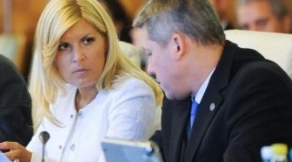 ce spune predoiu despre propunerea elenei udrea care il vede candidat la cotroceni