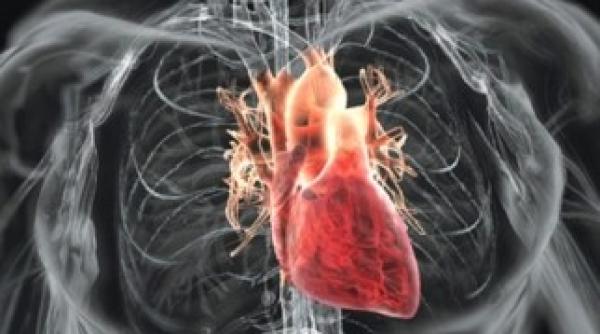 atacul de cord poate fi depistat cu 4 ore inainte sa aiba loc video