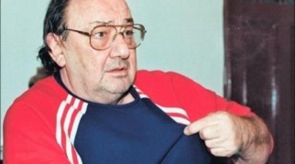 ce asemanare exista intre vasile ianul padureanu si borcea