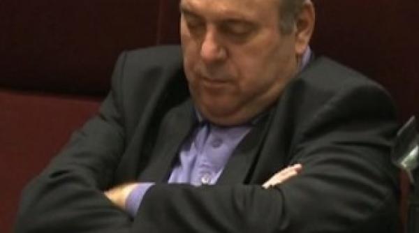 udrea explica de ce a atipit gheorghe stefan la motiunea ei