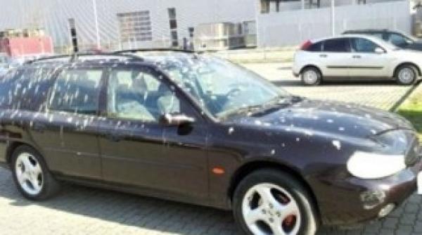 ciorile reclamate la primarie vezi motivul