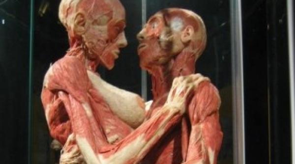 scandal pe cadavrele de la antipa intre muzeu si ministerul educatiei