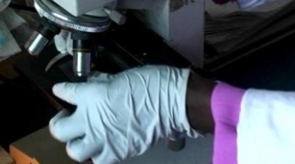 cum arata la microscop cel mai consumat drog din lume