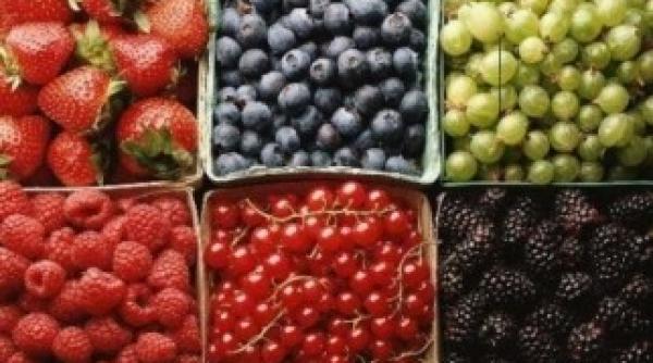 alimentul care te protejeaza impotriva imbatranirii si a radiatilor